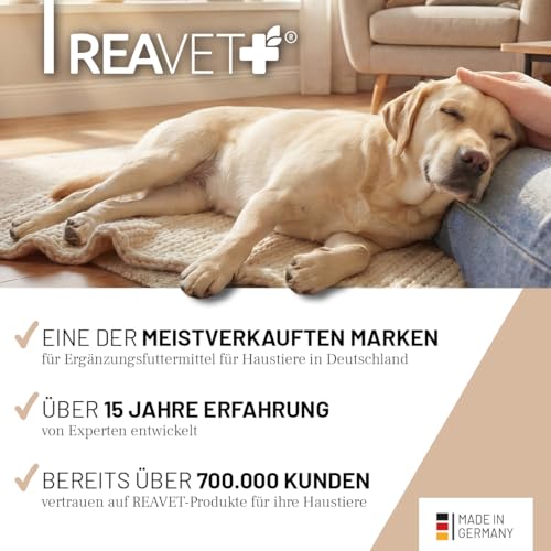 ReaVET Magenmild Pulver für Hunde 500g – Magen & Darm Unterstützung bei empfindlichem Hundemagen, Neigung zu Durchfall oder Sodbrennen I mit Bentonit Heilerde, naturrein