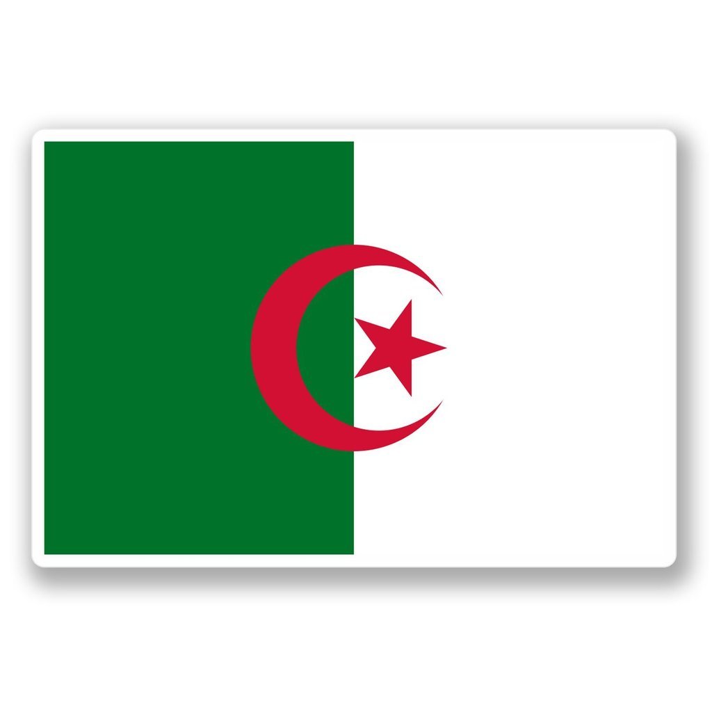 2 x 10cm/100mm Algeria Flag Vinyl Sticker Decal Laptop Travel Luggage Car Bike Sign Fun #4402