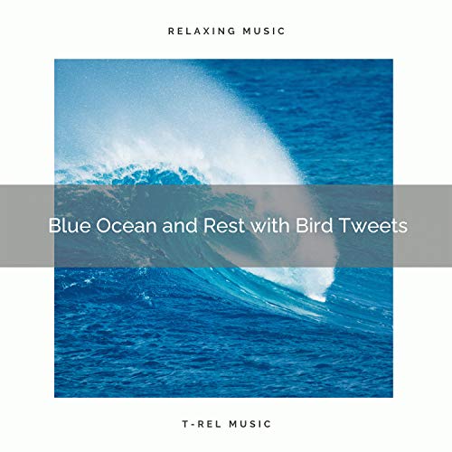 Play 2020 Best Blue Ocean and Rest with Bird Tweets by Ocean Noises on