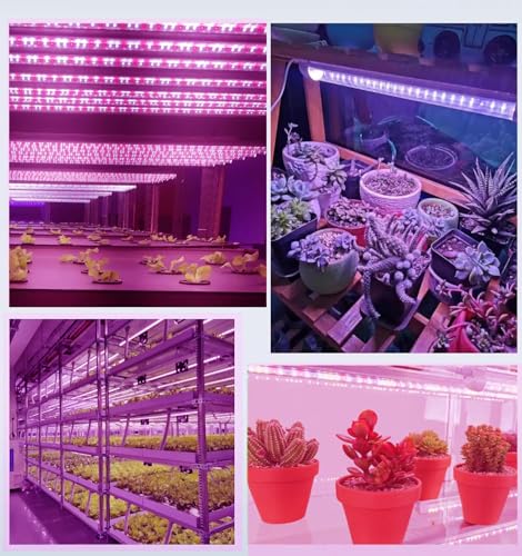 Image of Aluminium LED Grow Lights 2Ft 40W=10W x 4 for Indoor Plants, Full Spectrum (Plug and Play)(Energy efficient) Pack of 4