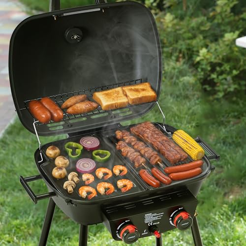Royal Gourmet 2- Brenner Gasgrill kleiner Balkon-Picknick-Grill, 5 kW Grillwagen für Garten und Camping mit leicht demontierbaren Grillständer