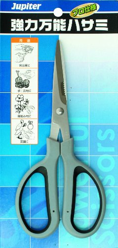 ЎR Ws^[(Jupiter) ͖\nT~ 400630