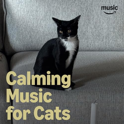 Calming Music for Cats