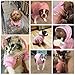 EXPAWLORER Princess Dog Soft Hoodie Sweater Fleece Sweatshirt Cold Weather Pet Clothes, Pink, Small Dog