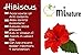 minature 100% Pure Hibiscus (Gudhal) Powder 114g (4 oz) | 100% Natural (Sabdariffa) Powderfor Hair Care, Face Pack, Tea & DIY Herbal Remedies