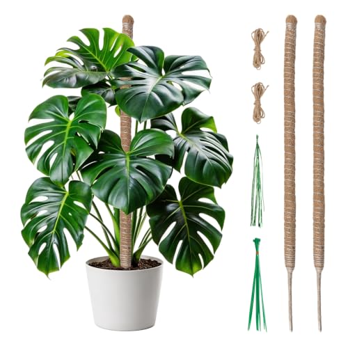 Tolesum 2 Piezas Tutor Plantas Trepadoras 60cm, Palo de Coco Plegable Hecho a Mano, Soporte Flexible para Monstera, Interior, Incluye Cintas