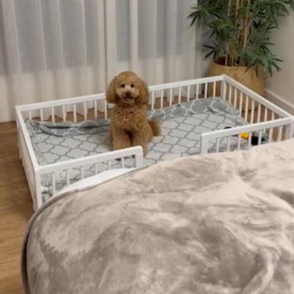 COOL · DREAMS Cama sofá para Perros Grandes WonderWoof, elevada Hecha de Madera de Haya - Blanco CoolDreams