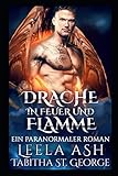 Cover zum Buch Drache in Feuer und Flamme