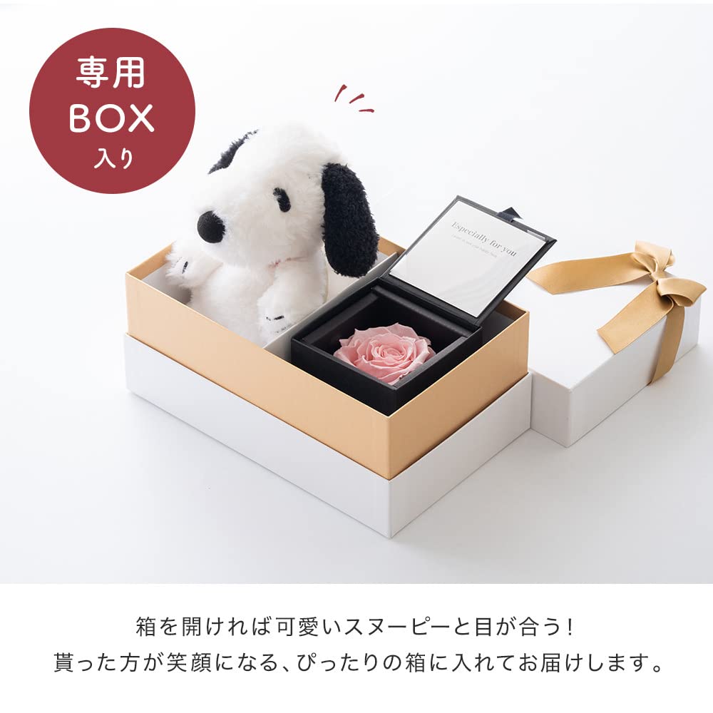 Amazon.co.jp: THE WOW Snoopy & Rose Gift Set 【Wrapping Available