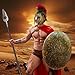 Medieval Roman Knight Helmet and Spartan Spear Prop,Greek Spartan Gladiator Costume Accessories Set,Halloween