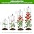 2 Pack Garden Obelisk Trellis for Climbing Plants, 71" Rustproof Metal Tower Plant Support Cages, Rose Trellis for Tomato Potted Flowers Vegetables Vines, Indoor Outdoor Garden Patio