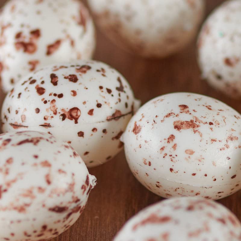 Factory Direct Craft Package of Natural Colored Tiny Plastic Bird Eggs with a Realistic Appearance- 36 Eggs