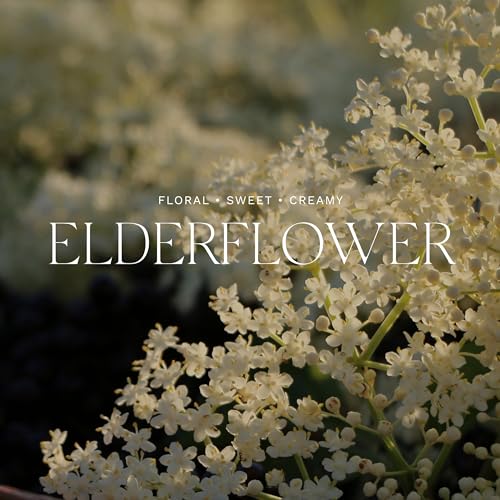 Antica Farmacista RSEF Elderflower Home Ambiance Room Spray thumb #2