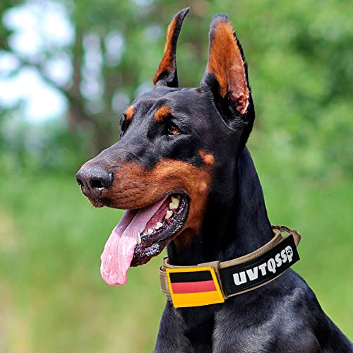 Collare tattico per cani + guinzaglio per cani di