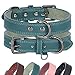 Didog Genuine Leather Dog Collar, Durable & Soft Heavy Duty Dog Collars with Double D Rings, Adjustable Dog Collar Leather with Metal Buckle for Small Dogs,Green S