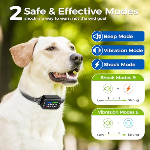 GPS Dog Collar System
