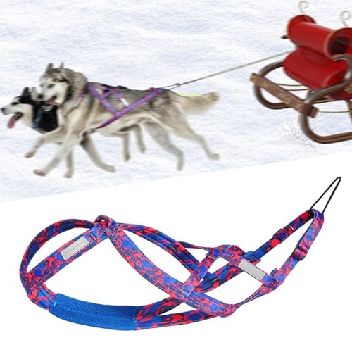 Colcolo Hunde-Laufgeschirr, Zuggeschirr, Geschwindigkeitstraining, Sport, Profi, Schlittengeschirr, Rosenrot M