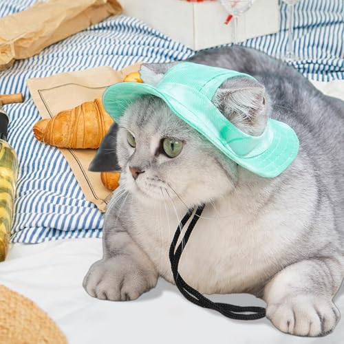 Mendoule LpoPbgnbg,Lp t߉\悯Xq - ʋCT{lbg qqLp U nCLO Lv r[`  sNjbN