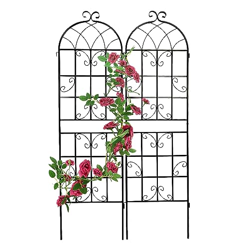 SPOFLYINN Mehrzweck-Garten-Rankgitter, rostfrei, Landhausstil, für den Außenbereich, Pflanzenspalier, Unterstützung für Gartendekoration, Schwarz, 180,3 x 50 cm, 2 Stück