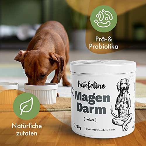 Hunde Verdauungs Pulver bei Durchfall oder Blähungen mit Probiotika & Präbiotika fördert die Darmsanierung bei Verdauungsproblemen für eine gesunde Darmflora 250g