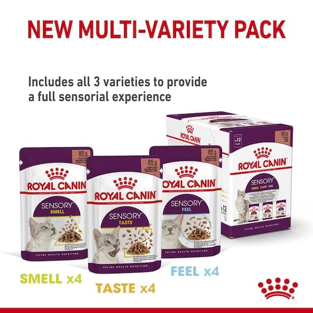 Royal Canin Sensory Feel Nassfutter in Soße für wählerische Katzen | 4er Pack | 4 x 12 x 85 g | Die besondere Textur kann dabei helfen das Mundgefühl von Katzen anzuregen
