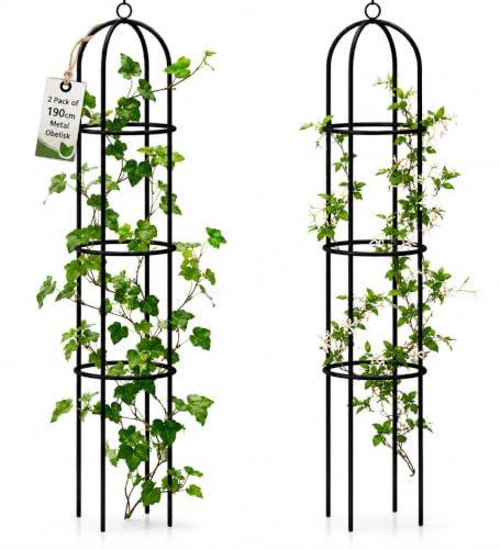 2 Pack Large Metal Garden Obelisk Plant Support for Climbing Plants 190cm