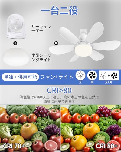 Alcides シーリングファンライト ZPDLFSD002 の商品画像 5