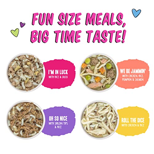 Weruva Greatest Fido Good friend Enjoyable Measurement Meals for Canines, Choosy Pooch Picnic Selection Pack, 2.75oz Cup, Pack of 8 Weruva Greatest Fido Good friend Enjoyable Measurement Meals for Canines, Choosy Pooch Picnic Selection Pack, 2.75oz Cup, Pack of 8