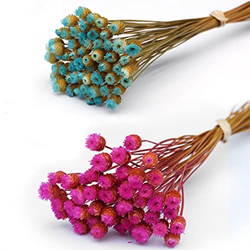 50 flores secas naturales para decoración floral miniatura 4