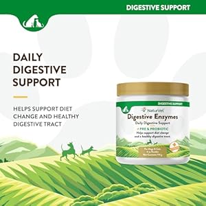   NaturVet--Digestive-Enzymes-for-Dogs-Plus-Probiotics-Prebiotics-Helps-Support-Diet-Change-A-Healthy-Digestive-Tract-for-Dogs-Cats-4-oz-Powder