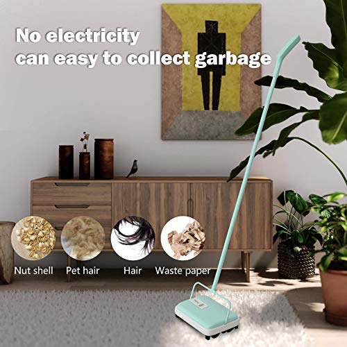 image for Eyliden Carpet Sweeper, Mini Size Lightweight Hand Push Carpet Sweeper