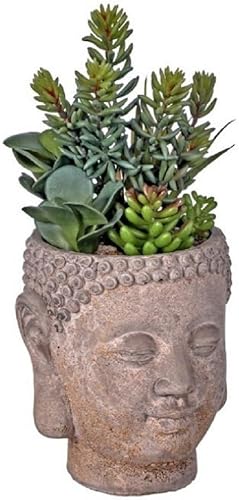 Regency International Mezcla de plantas artificiales suculentas en cabeza de Buda, altura de 11 pulgadas
