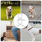 JJUNW 2 Stück Hausleine für Hunde, Hundeleine Chew Proof, Bissfeste Hundeleine Verlängerungsseil, Hundekette für Welpen Kleine Mittelgroße Große Hunde Joggen und Spazierengehen (67cm, Schwarz)