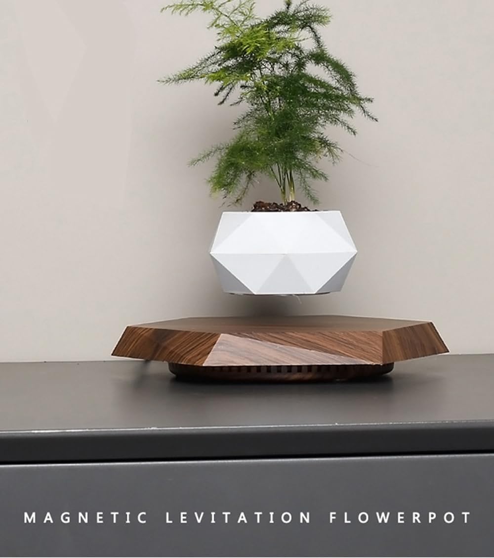 Planting Flower Pots, Leveling Plant Pot, Magnetic Activity, Floating Plant Pot, Floating Plant, Hanging Flower Pots, Suspended Flowpot, Planers