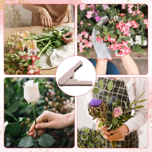 Herramienta para quitar espinas de rosas miniatura 5