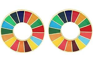 Rainbow SDGs Enamel Lapel Pin: A Symbol of Global Goals, 2.4 cm/0.94 inch