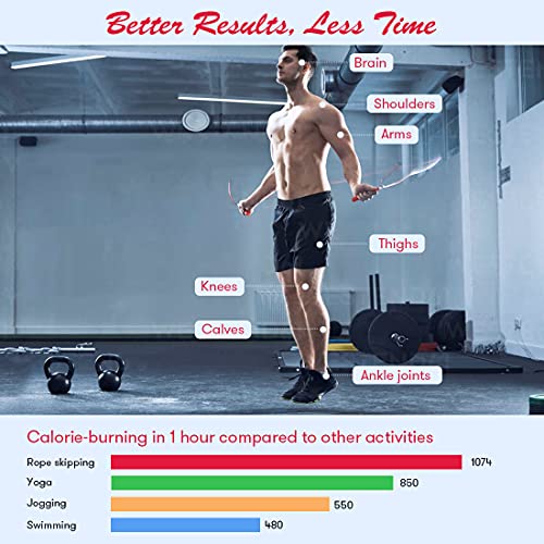 Image of Jump Rope, Weighted Jump Rope for Fitness, Skipping Rope with Counter - Heavy Handles, Adjustable Length - Cordless Jumping Rope for Men Women Kids Fitness Exercise Training