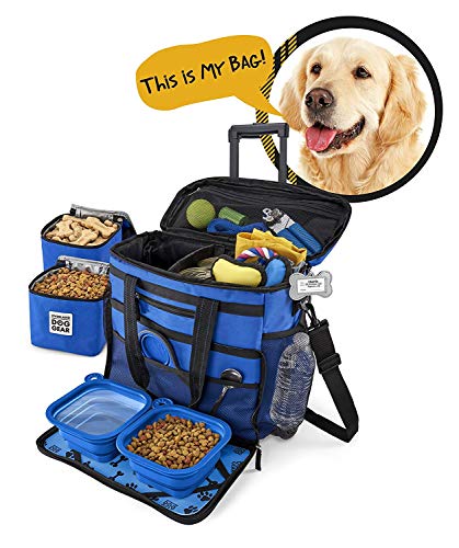 large dog travel bag