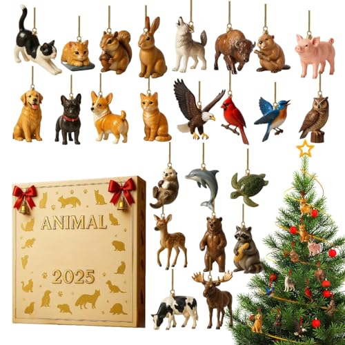 2025 N NX}X Aj} AhxgJ_[ - 2DAN24 - AhxgJEg_EJ_[,̂߂ փhA ItBX NX}X[X Ki ̘g }g     Q