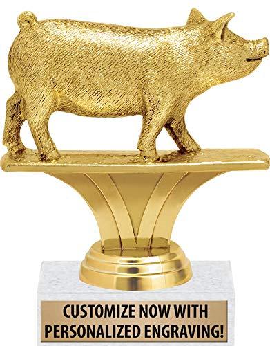 Top flying pig trophy for 2021 | Aalsum Reviews