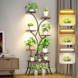 Stabilité - Notre support à plantes est composé de tubes métalliques et de planches de bois de haute qualité, capables de supporter de manière stable le support à plusieurs niveaux et les différentes plantes qui y sont placées. Il est livré avec des accessoires anti-basculement. Il est également doté d'une excellente étanchéité pour éviter les dommages causés par l'humidité et les rayures au sol.