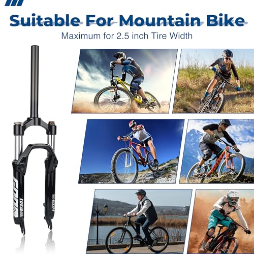 FOMAS Bike Fork (Black, 20 INCH)