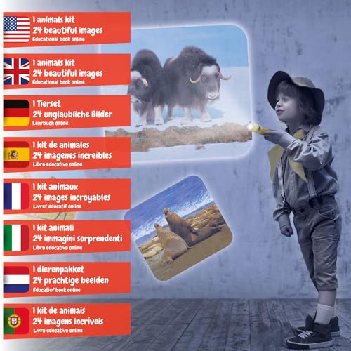Science4you Linterna Animales para Niños 4+ Años - Proyector com 24 Imágenes de Animales, Linterna Infantil Incluye 24 Imágenes y Poster de Animales, Regalo Educativo para Niños de 3 4 5 6+ Años 2 Science4you Linterna Animales Para Niños 4+ Años - Proyector Com 24 Imágenes De Animales, Linterna Infantil Incluye 24 Imágenes Y Poster De Animales, Regalo Educativo Para Niños De 3 4 5 6+ Años