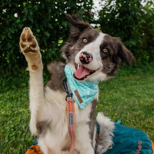 Image of Wilderdog Dog Bandana with Lightweight Quick Drying Poly-Blend Mesh Material in Agave