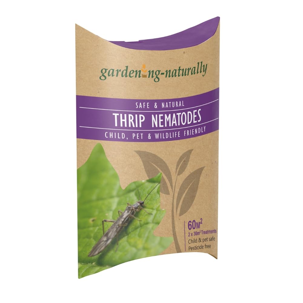 Thrip Nematodes (Thunder Flies) Treats 60 sq.m Pest Control