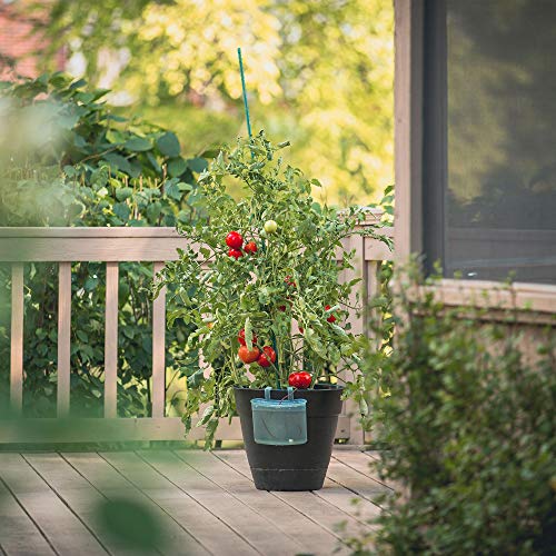 Gardener's Blue Ribbon 3-Pack Replacement Ceramic Watering Sensors 6001-Tc #TOP3