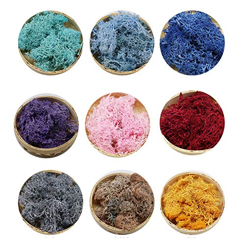 Dheera Esfagno decorativo de musgo artificial, flores frescas naturais secas, grama para decoração d