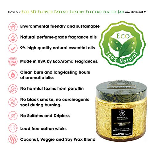 Ecoaroma Sea Salt & Citrus Scented Organic Coco-Soy Jar Candles Hand Poured Natural Flower Extracted Fragrance Oils Botanical Candles For Aromatherapy Home Scent & Xmas Gifts 12 Oz #TOP3