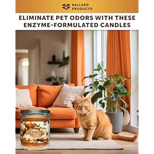 Ballard Products Specialty Pet Products Pet Odor Eliminating Candle Salted Caramel  Pack of 2 Pet Odor Eliminator Candle  Pet Candles Odor Eliminator for Your Home  Bundle Air Freshener  Cucciolini Doodles Ballard products specialty pet products pet odor eliminating candle salted caramel  pack of 2 pet odor eliminator candle  pet candles odor eliminator for your home  bundle air freshener   cucciolini doodles