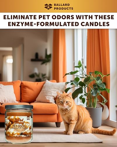 Ballard Products Specialty Pet Products Pet Odor Eliminating Candle Salted Caramel  Pack of 2 Pet Odor Eliminator Candle  Pet Candles Odor Eliminator for Your Home  Bundle Air Freshener  Cucciolini Doodles Ballard products specialty pet products pet odor eliminating candle salted caramel  pack of 2 pet odor eliminator candle  pet candles odor eliminator for your home  bundle air freshener   cucciolini doodles